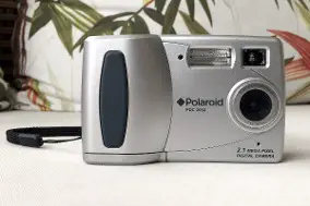 gray digital camera with plant in the back