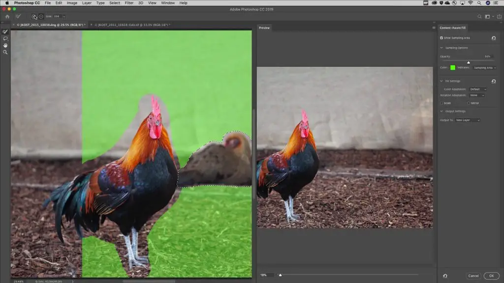 photoshop screenshot with a hen