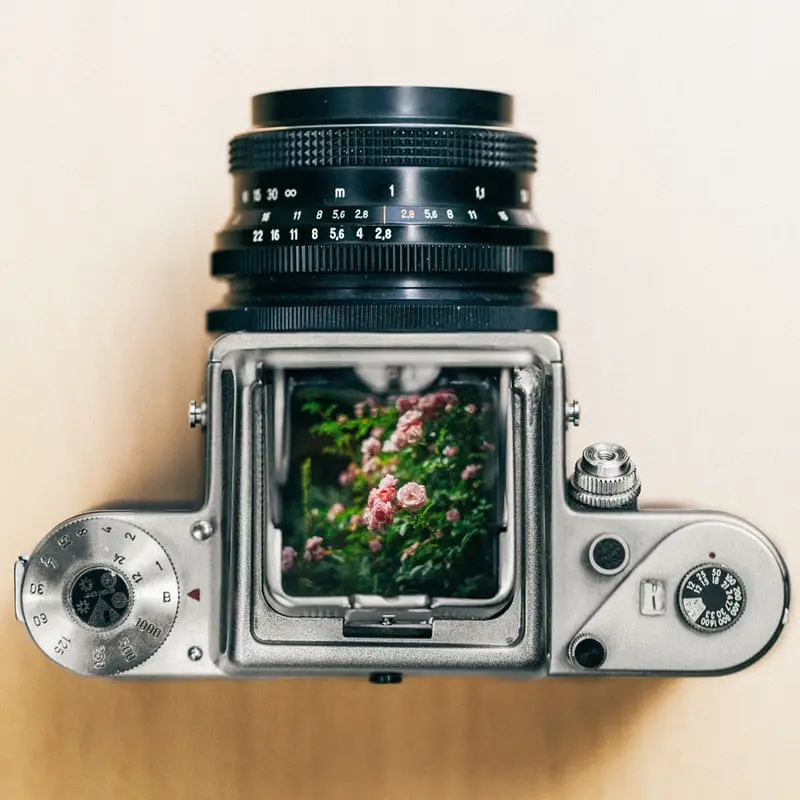 camera with flower on a wooden surface