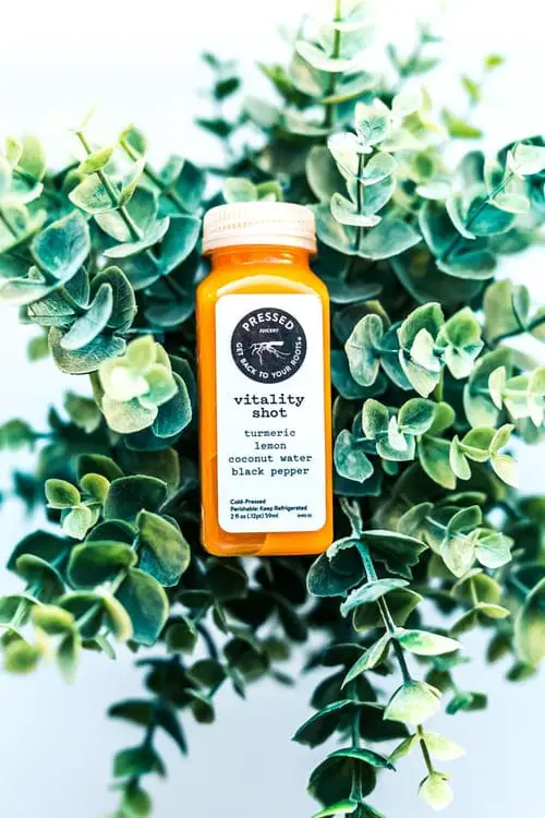 Pressed juicery vitality shot bottle in the center of leafy plant