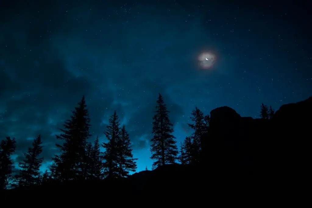 Silhouette of pine trees and a cliff under a starry night sky.