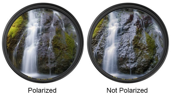 Polarizer comparison 