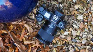 black camera on a leaves surface