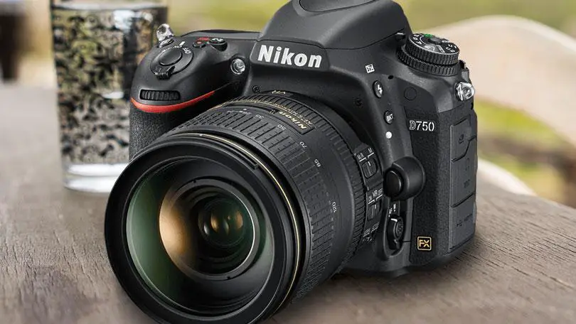 Nikon Lens on a nikon camera