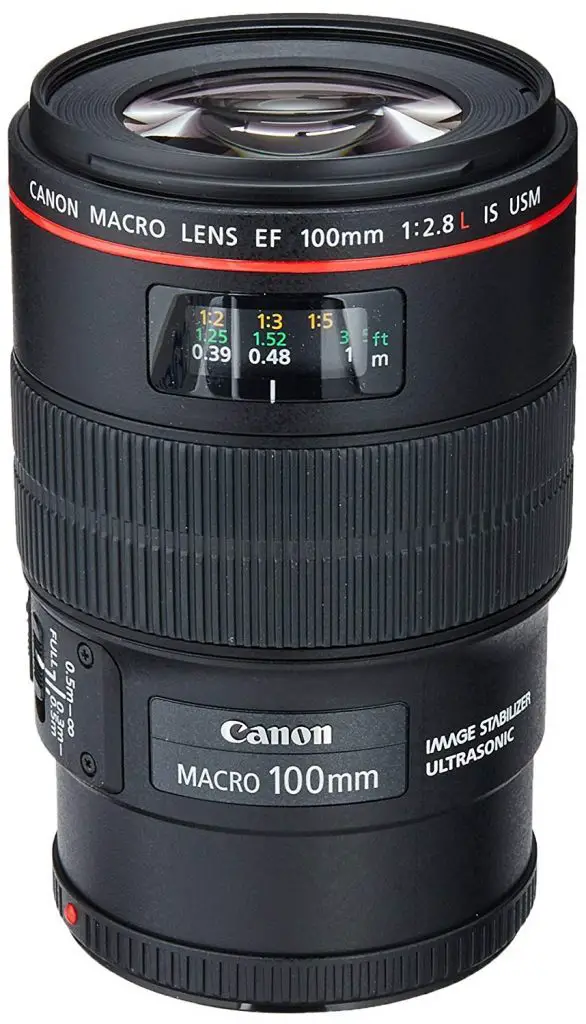 Cannon 100mm Macro lens