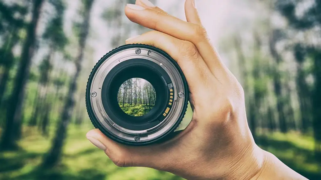 person holding a camera lens on the forest