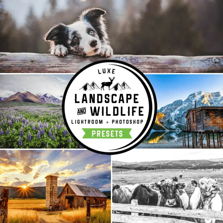 The Luxe Lens Landscapes & Wildlife Lightroom Presets