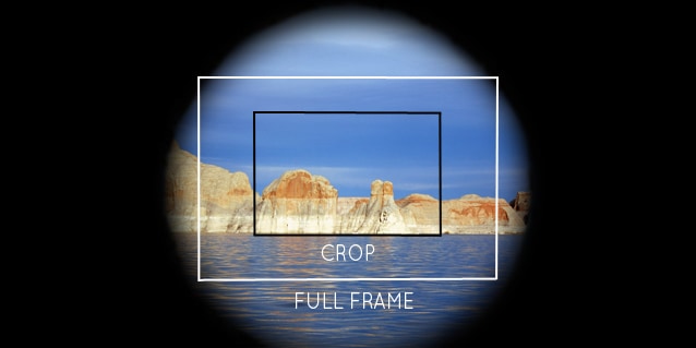 Example of what a full frame image looks like compared to a cropped image
