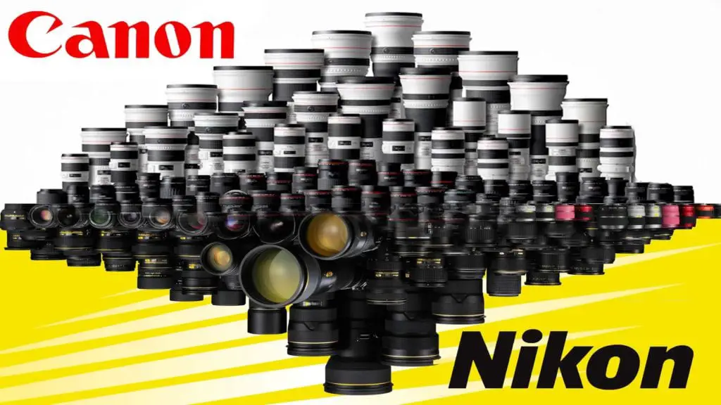 An image of different Canon and Nikon cameras