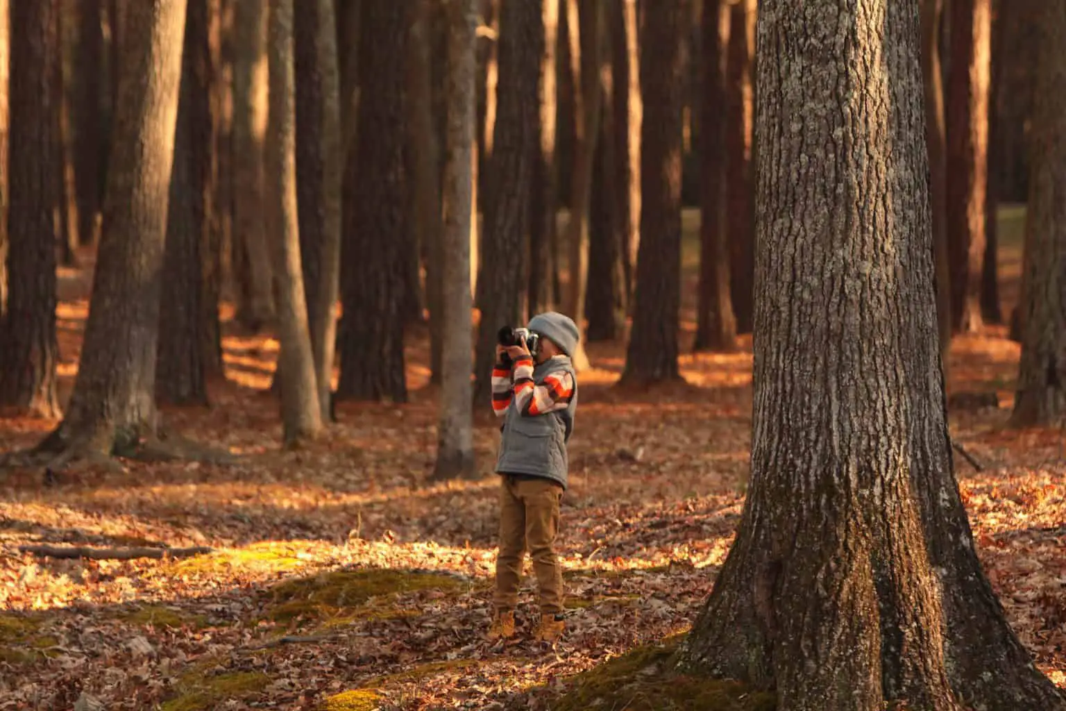 A kid taking photos in a forest with a camera