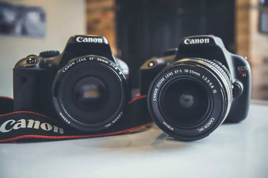An image of two Canon camera