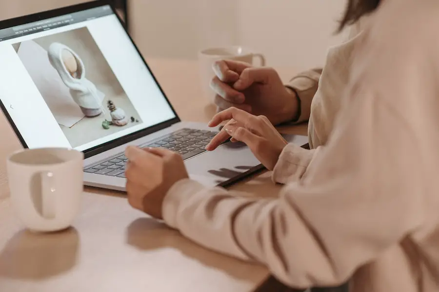 An image of a person checking images on a laptop