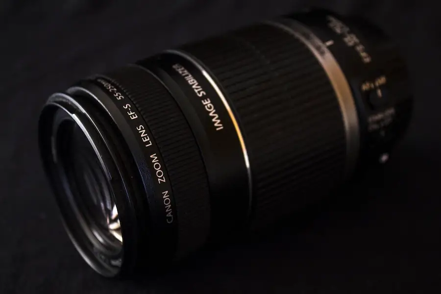 An image of Canon 55-250mm lens