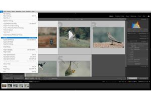 Selecting the Export tool in Lightroom