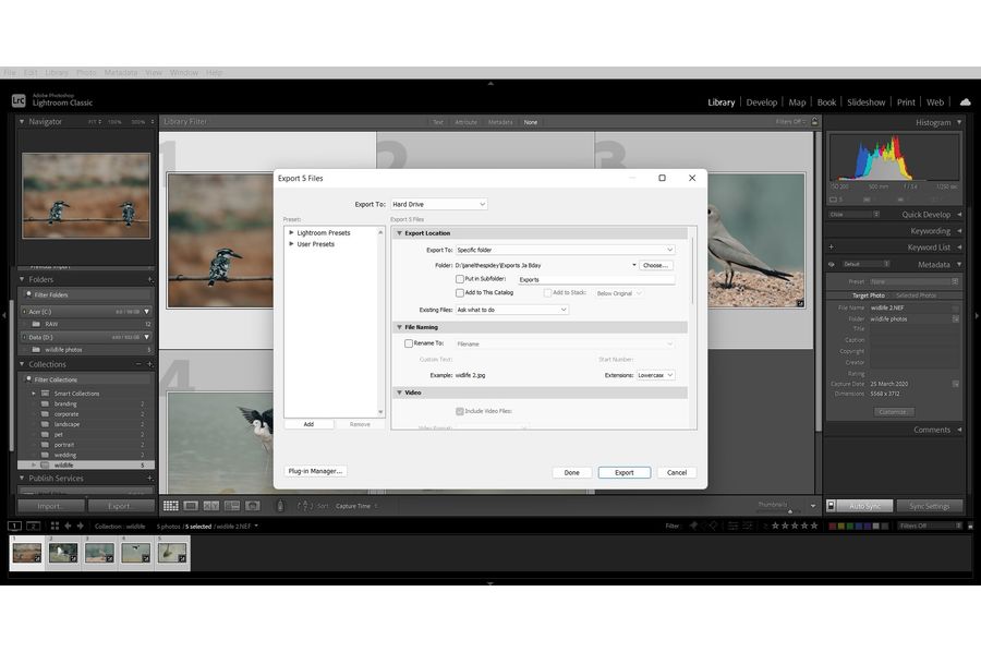 Selecting where to export the photos from Lightroom