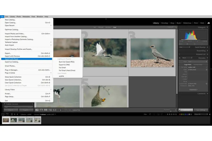 Exporting the RAW images in Lightroom