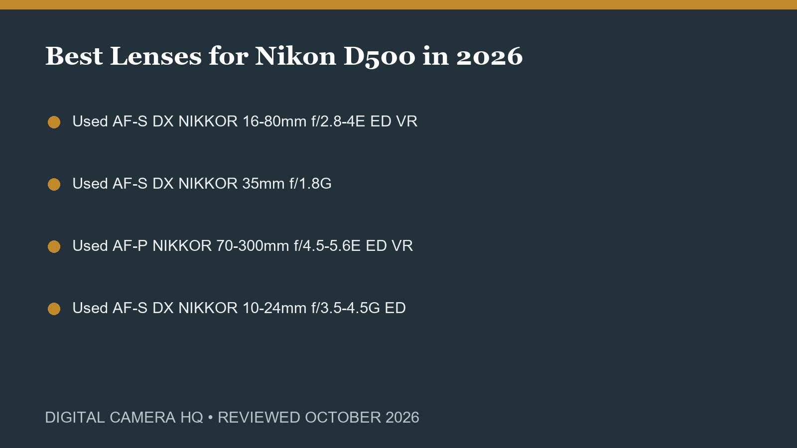 Best Lenses for Nikon D500 in 2026 buying checklist
