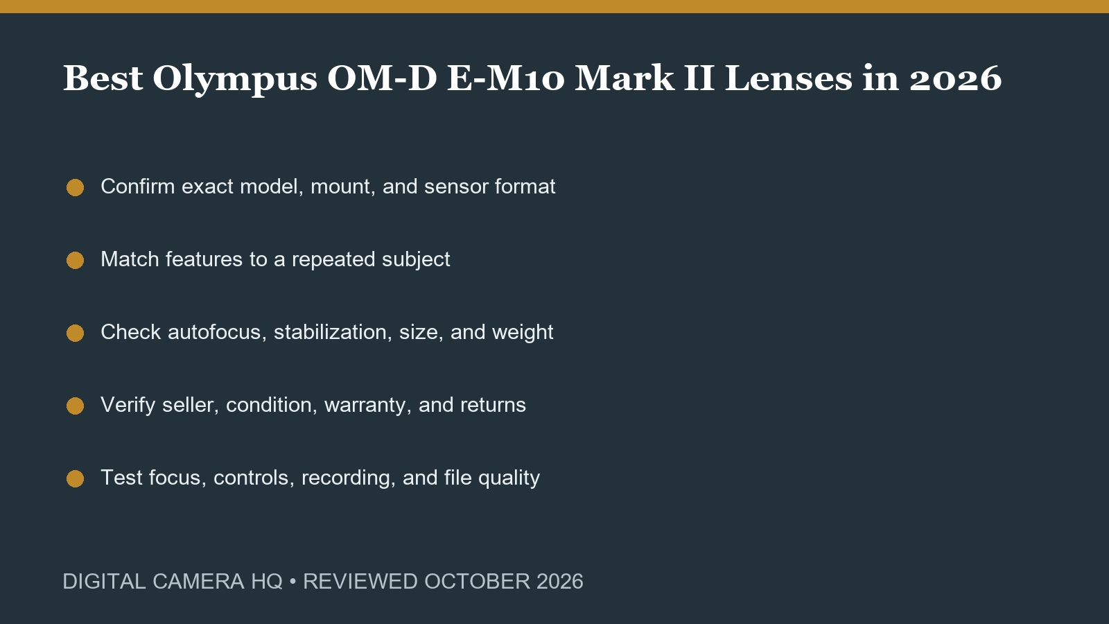 Best Olympus OM-D E-M10 Mark II Lenses in 2026 buying checklist